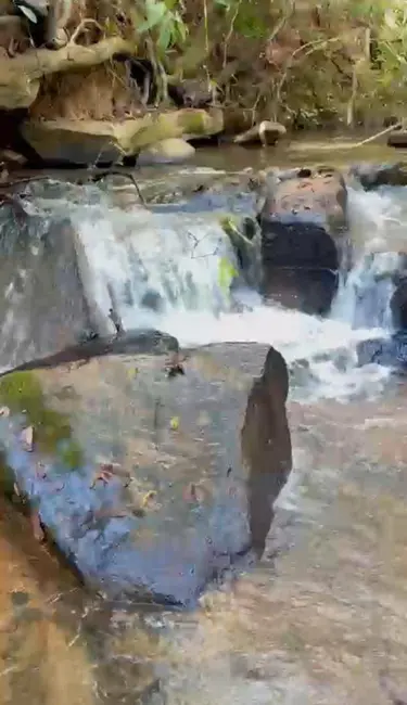 Foto 5 de Sala Comercial à venda, 5000m2 em Gameleira De Goias - GO