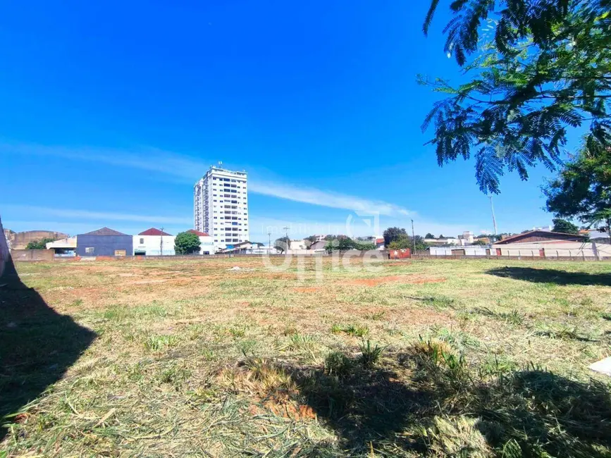 Foto 4 de Sala Comercial à venda, 4316m2 em Setor Central, Anapolis - GO