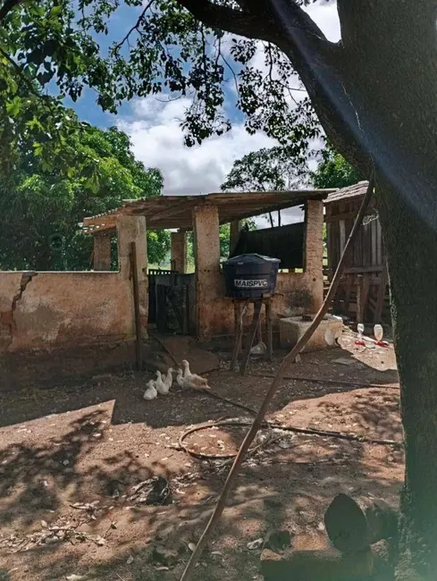 Chácara com 2 quartos à venda, 48400m2 em Parque Calixtópolis, Anapolis - GO - imagem 9 Foto 9 de Chácara com 2 quartos à venda, 48400m2 em Parque Calixtópolis, Anapolis - GO