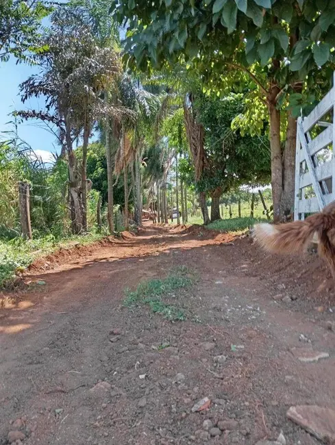 Chácara com 2 quartos à venda, 48400m2 em Parque Calixtópolis, Anapolis - GO - imagem 3 Foto 3 de Chácara com 2 quartos à venda, 48400m2 em Parque Calixtópolis, Anapolis - GO