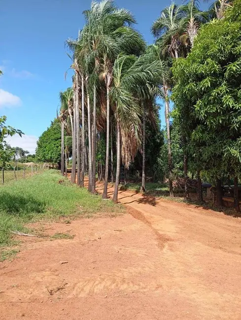 Chácara com 2 quartos à venda, 48400m2 em Parque Calixtópolis, Anapolis - GO - imagem 2 Foto 2 de Chácara com 2 quartos à venda, 48400m2 em Parque Calixtópolis, Anapolis - GO