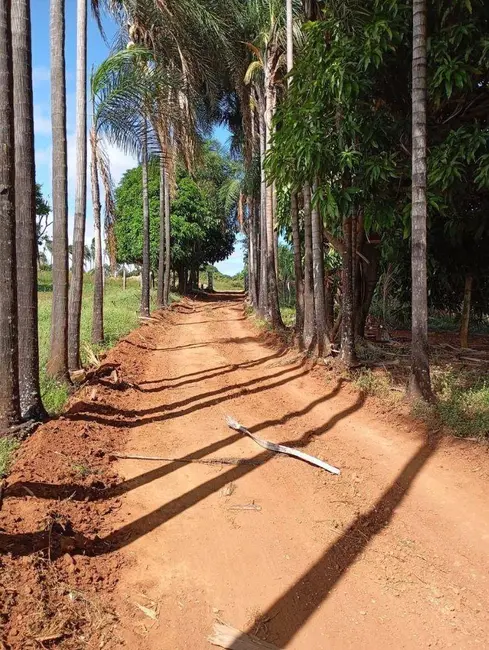 Chácara com 2 quartos à venda, 48400m2 em Parque Calixtópolis, Anapolis - GO - imagem 7 Foto 7 de Chácara com 2 quartos à venda, 48400m2 em Parque Calixtópolis, Anapolis - GO