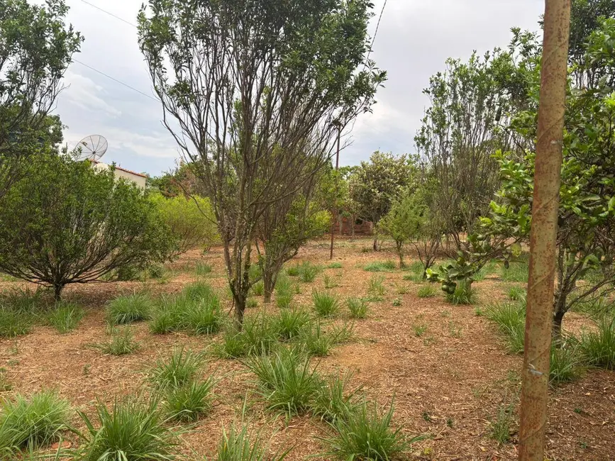 Foto 1 de Chácara com 3 quartos à venda, 2000m2 em Gameleira De Goias - GO