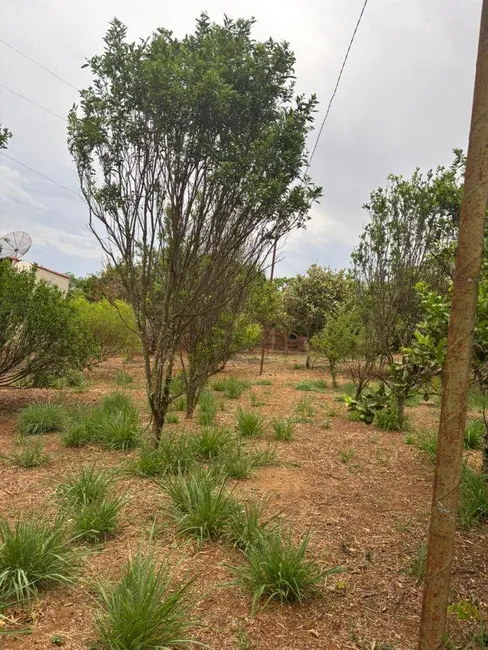 Foto 8 de Chácara com 3 quartos à venda, 2000m2 em Gameleira De Goias - GO