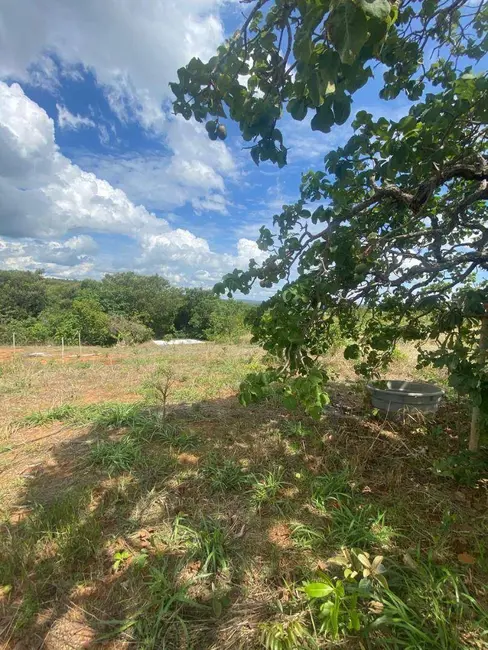 Foto 4 de Terreno / Lote à venda, 20000m2 em Abadiania - GO