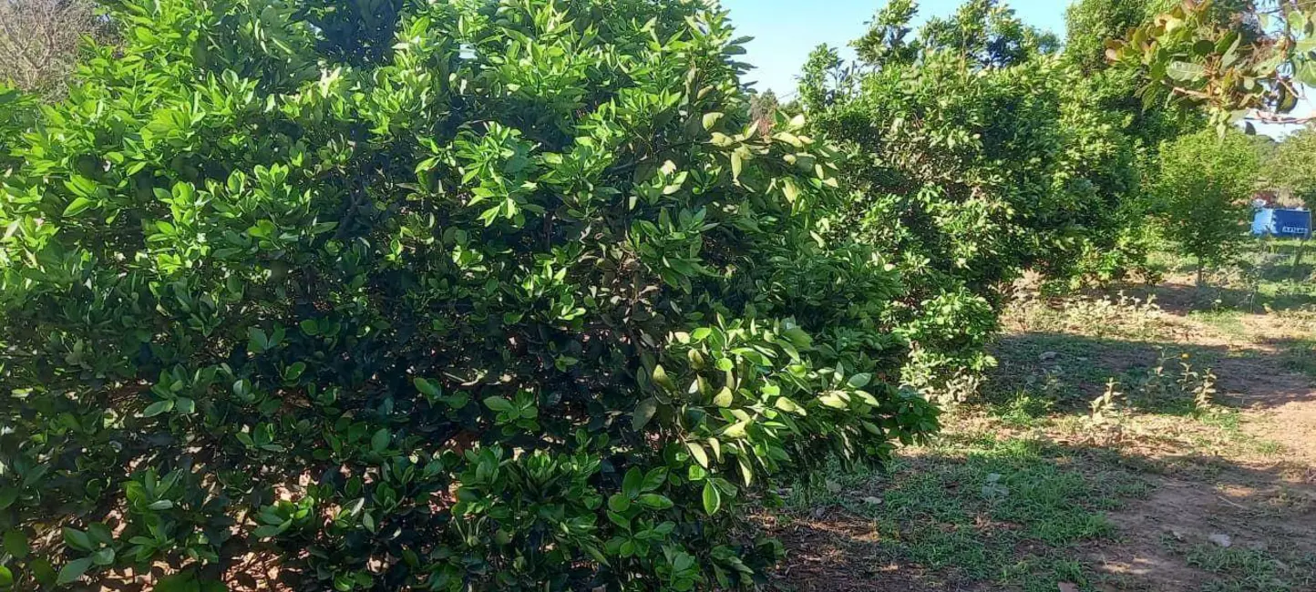 Foto 2 de Chácara com 3 quartos à venda, 48400m2 em Jaragua - GO