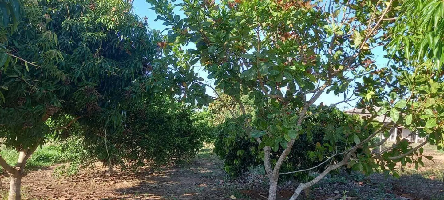 Foto 7 de Chácara com 3 quartos à venda, 48400m2 em Jaragua - GO