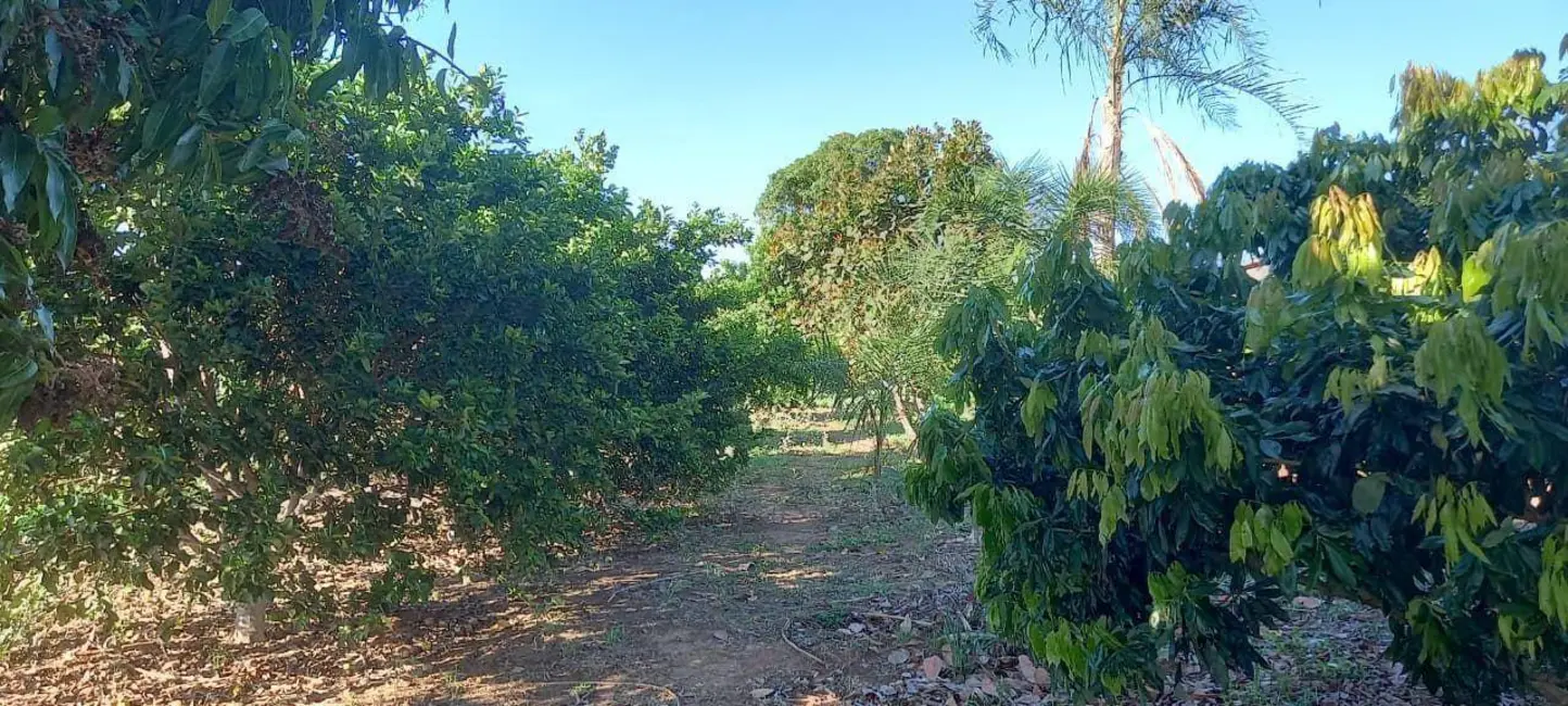 Foto 4 de Chácara com 3 quartos à venda, 48400m2 em Jaragua - GO