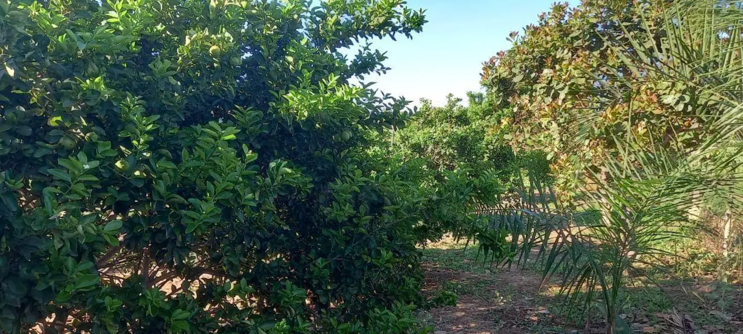 Foto 6 de Chácara com 3 quartos à venda, 48400m2 em Jaragua - GO