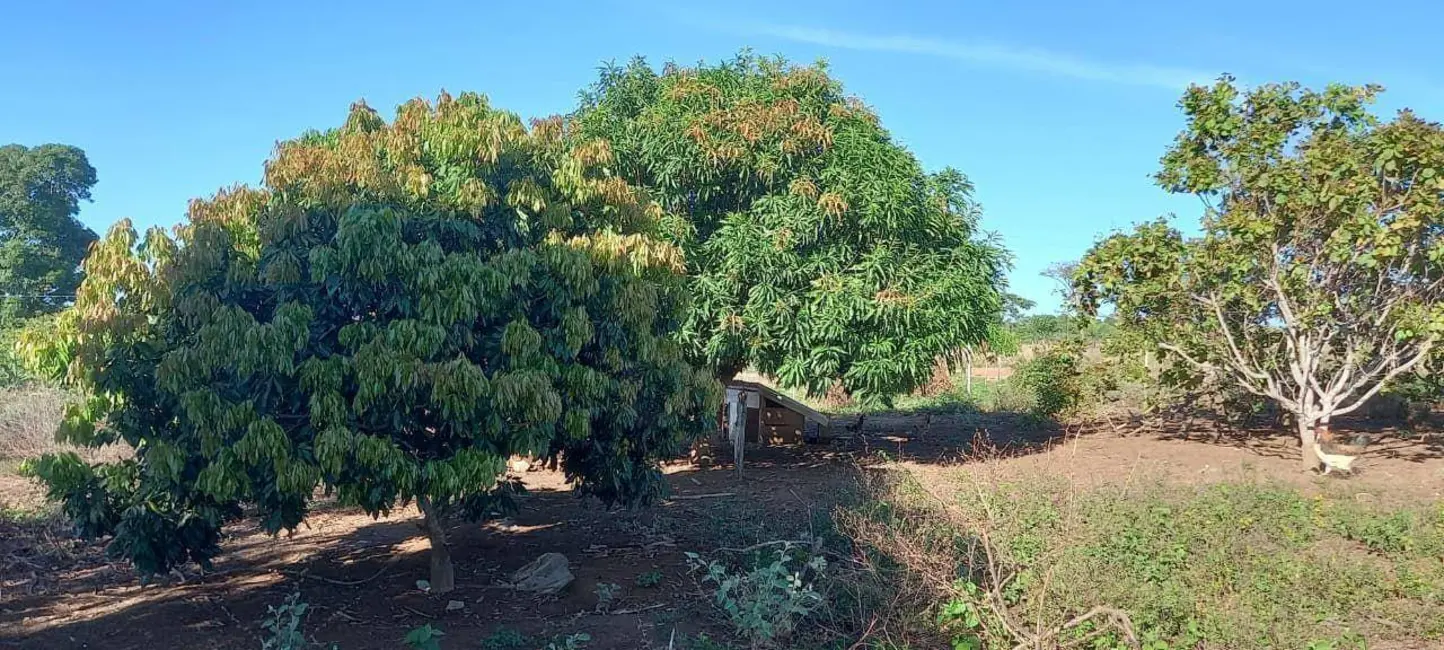 Foto 8 de Chácara com 3 quartos à venda, 48400m2 em Jaragua - GO