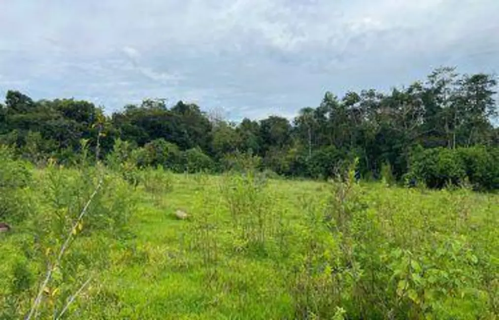 Foto 9 de Chácara com 1 quarto à venda, 20600m2 em Abadiania - GO