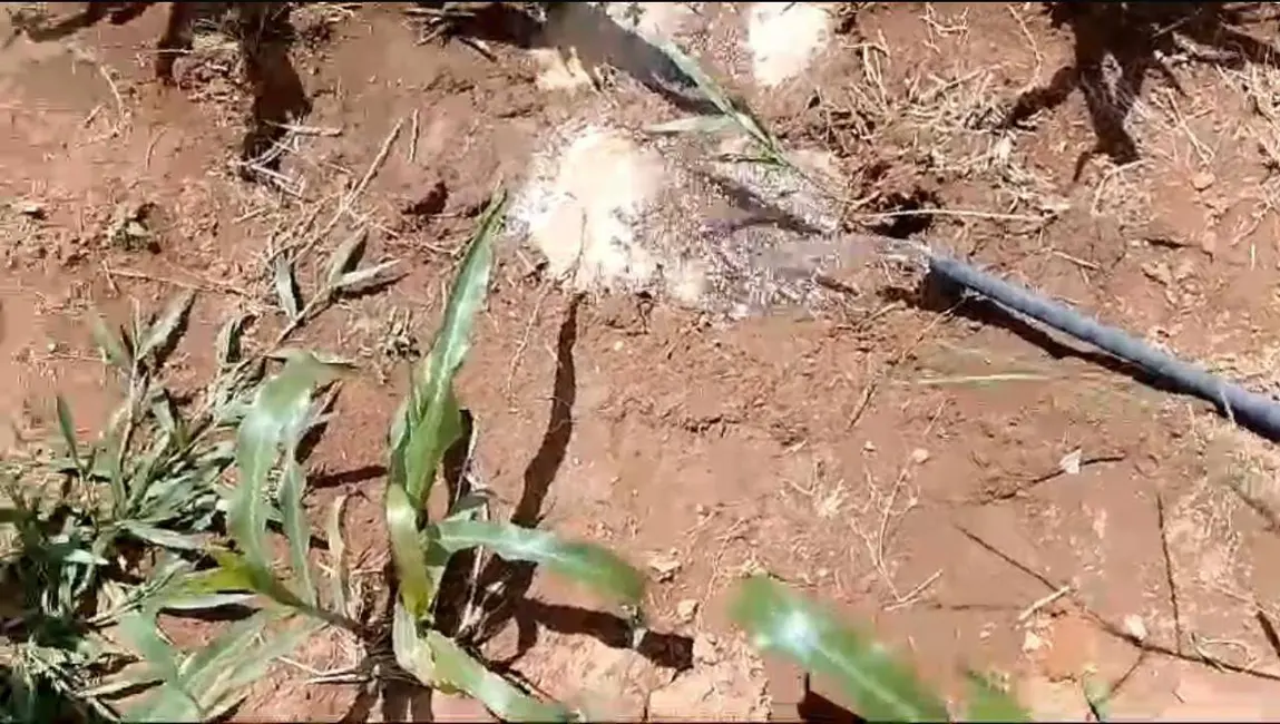 Foto 6 de Chácara com 1 quarto à venda, 20600m2 em Abadiania - GO