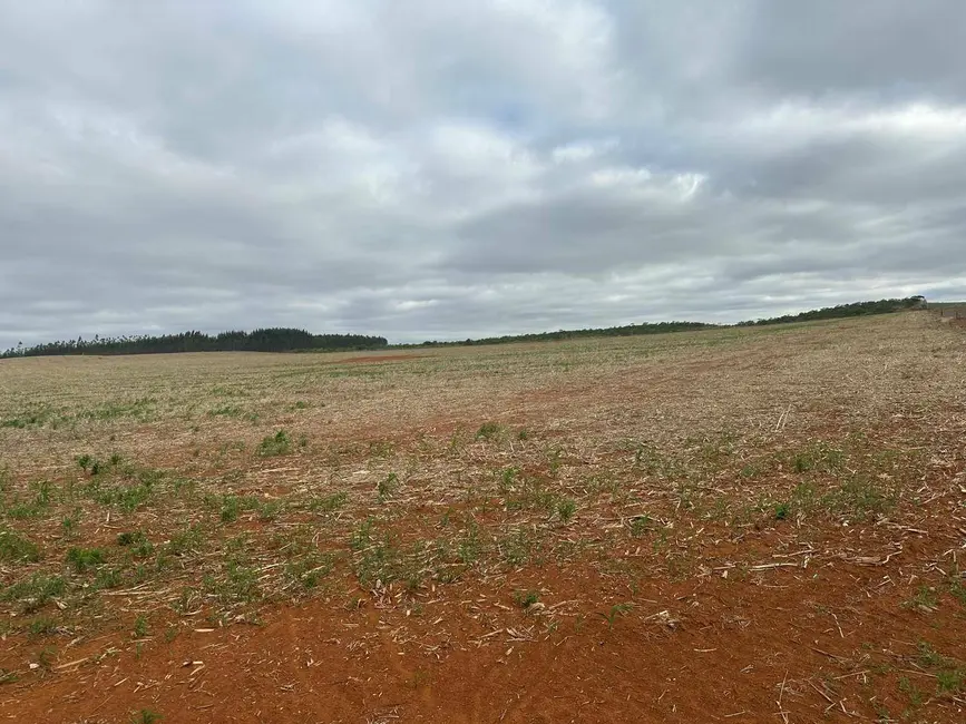 Foto 3 de Fazenda / Haras com 2 quartos à venda, 450120m2 em Anapolis - GO