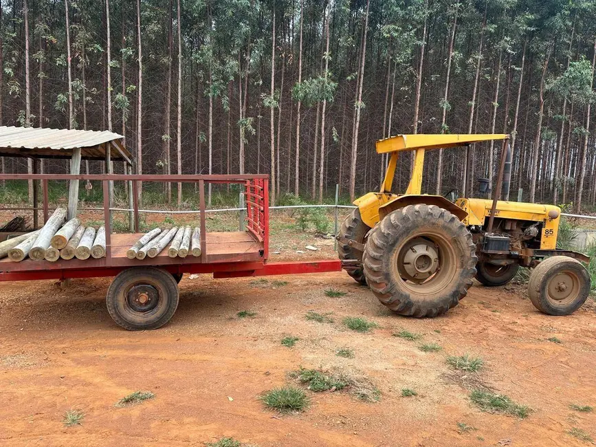 Foto 6 de Fazenda / Haras com 2 quartos à venda, 450120m2 em Anapolis - GO