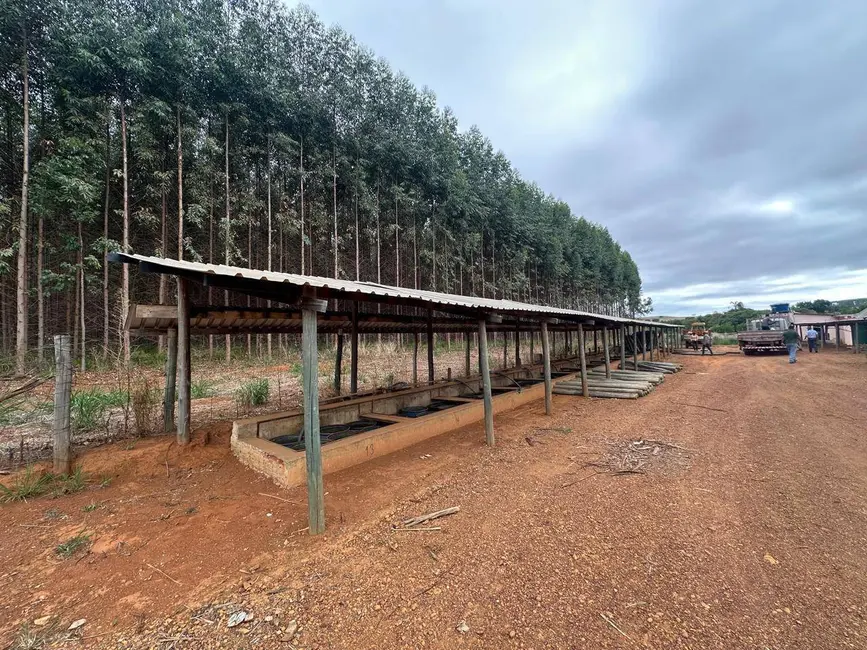 Foto 1 de Fazenda / Haras com 2 quartos à venda, 450120m2 em Anapolis - GO