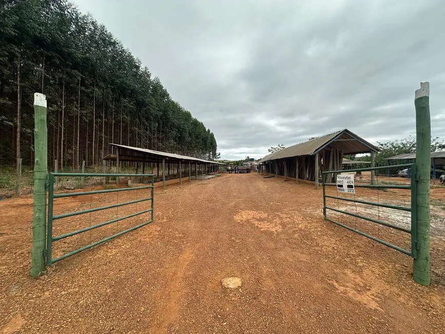 Foto 7 de Fazenda / Haras com 2 quartos à venda, 450120m2 em Anapolis - GO