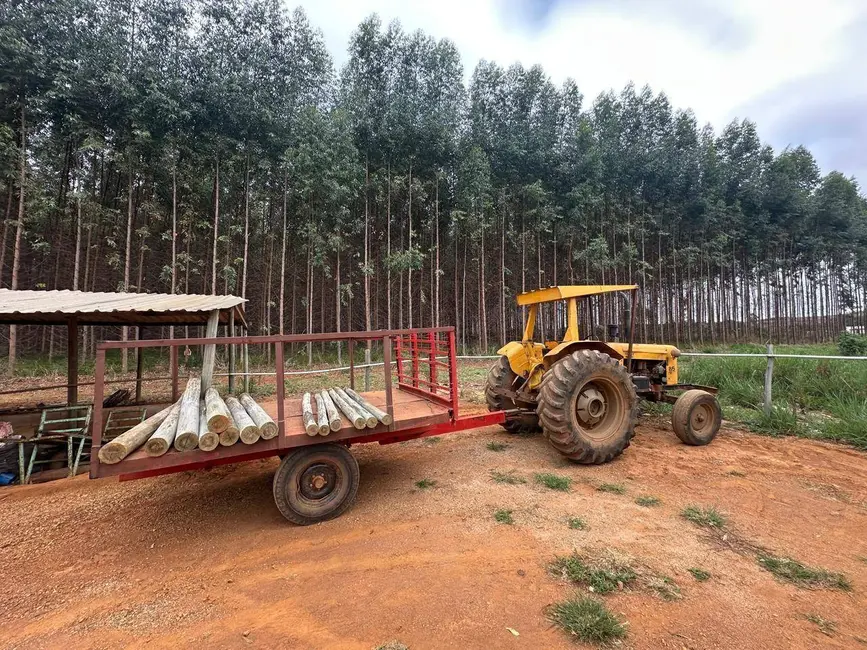 Foto 5 de Fazenda / Haras com 2 quartos à venda, 450120m2 em Anapolis - GO