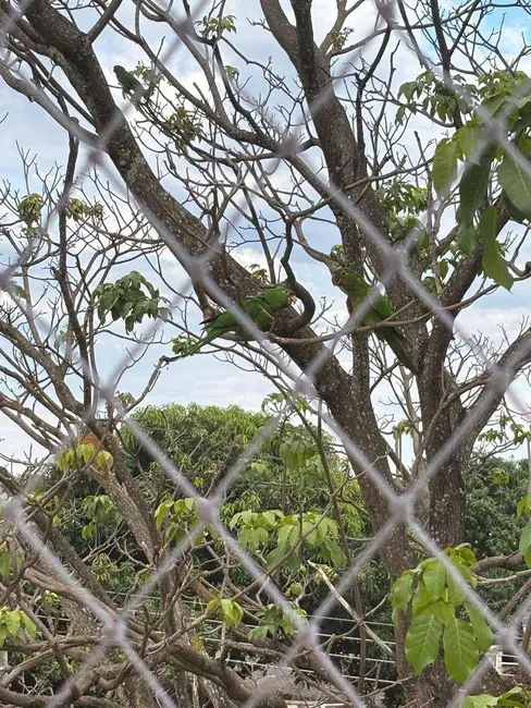 Foto 9 de Apartamento com 2 quartos à venda, 74m2 em Vila Santa Maria de Nazareth, Anapolis - GO