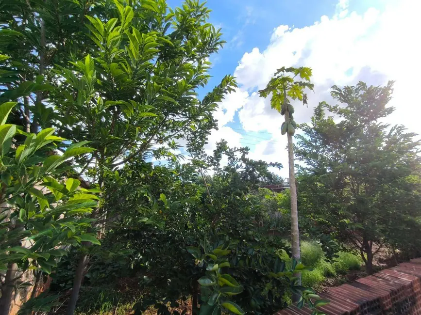 Foto 6 de Casa com 3 quartos à venda, 420m2 em Jóquei Club, Anapolis - GO