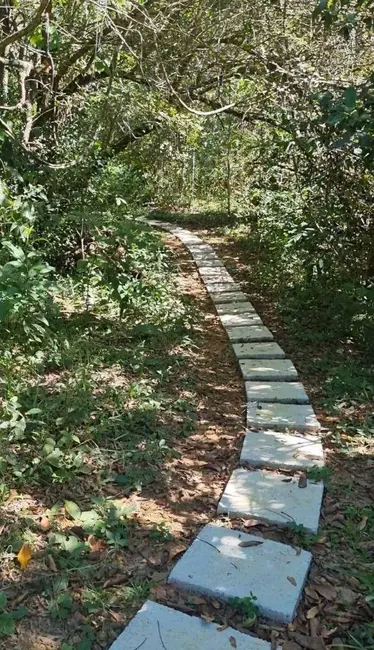 Chácara com 1 quarto à venda, 4500m2 em Jardim Primavera 1ª Etapa, Anapolis - GO - imagem 3 Foto 3 de Chácara com 1 quarto à venda, 4500m2 em Jardim Primavera 1ª Etapa, Anapolis - GO