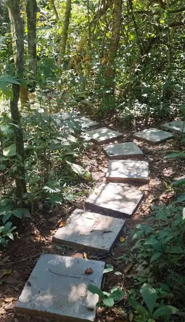 Chácara com 1 quarto à venda, 4500m2 em Jardim Primavera 1ª Etapa, Anapolis - GO - imagem 4 Foto 4 de Chácara com 1 quarto à venda, 4500m2 em Jardim Primavera 1ª Etapa, Anapolis - GO