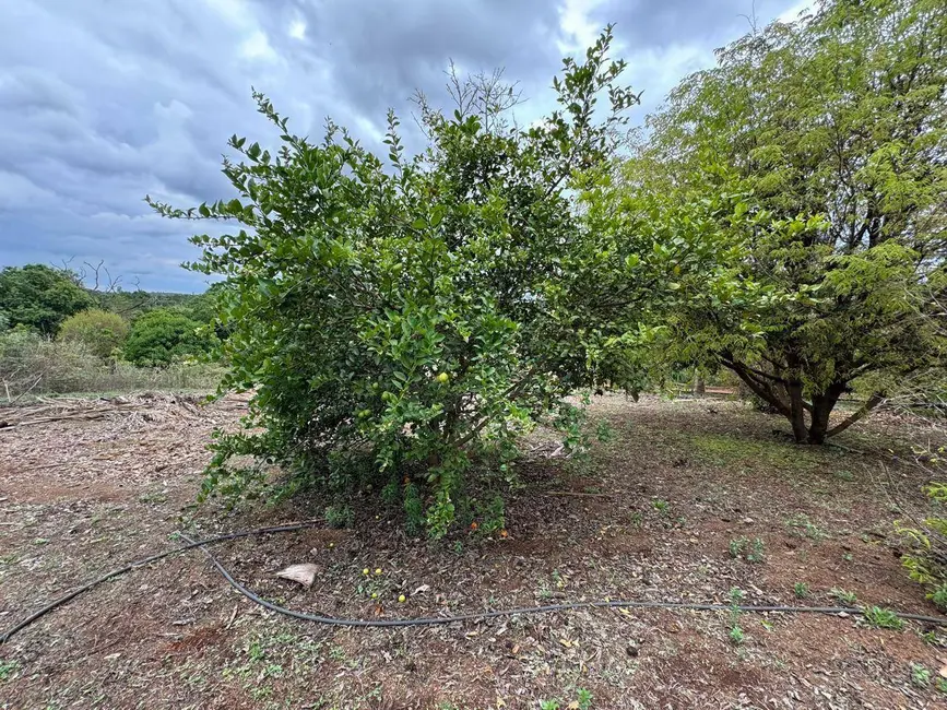 Foto 2 de Sala Comercial à venda, 4000m2 em Abadiania - GO