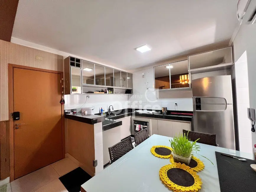 Foto 2 de Apartamento com 3 quartos à venda, 79m2 em Parque dos Pirineus, Anapolis - GO
