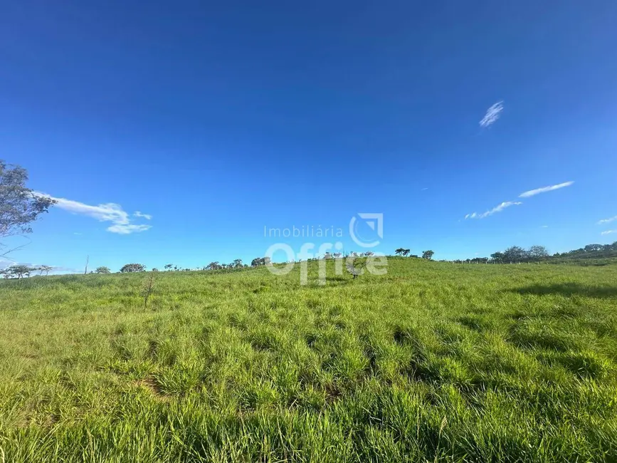 Foto 5 de Sala Comercial à venda, 29860m2 em Setor Industrial Aeroporto, Anapolis - GO