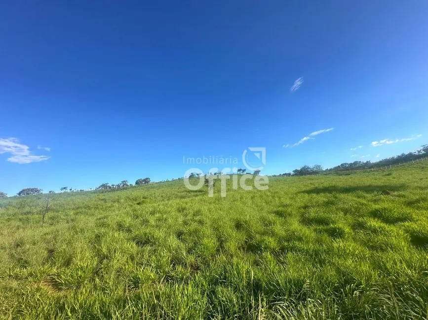 Foto 9 de Sala Comercial à venda, 29860m2 em Setor Industrial Aeroporto, Anapolis - GO