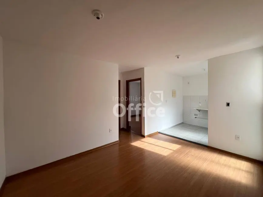 Foto 4 de Apartamento com 2 quartos para alugar, 50m2 em Lourdes, Anapolis - GO