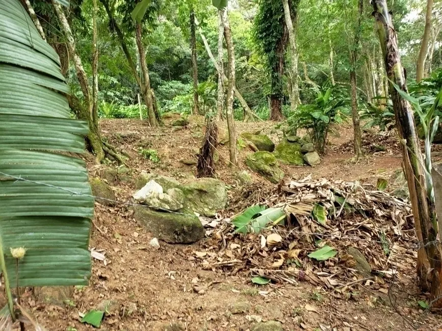 Foto 5 de Terreno / Lote à venda, 650m2 em Sao Sebastiao - SP