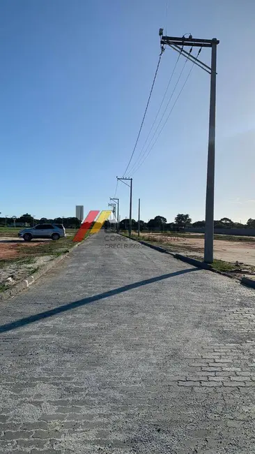 Terreno / Lote à venda, 1000m2 em Araruama - RJ - imagem 5 Foto 5 de Terreno / Lote à venda, 1000m2 em Araruama - RJ