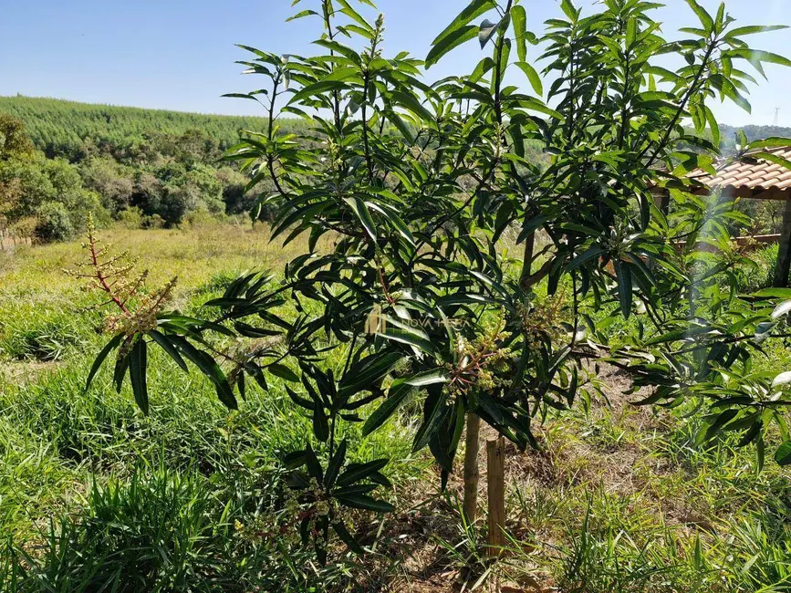 Chácara com 4 quartos à venda, 1300m2 em Sarapui - SP - imagem 7 Foto 7 de Chácara com 4 quartos à venda, 1300m2 em Sarapui - SP