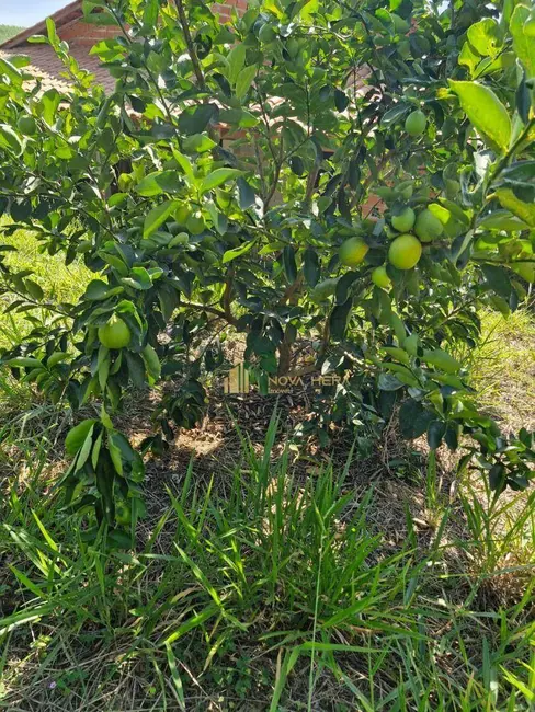 Chácara com 4 quartos à venda, 1300m2 em Sarapui - SP - imagem 5 Foto 5 de Chácara com 4 quartos à venda, 1300m2 em Sarapui - SP