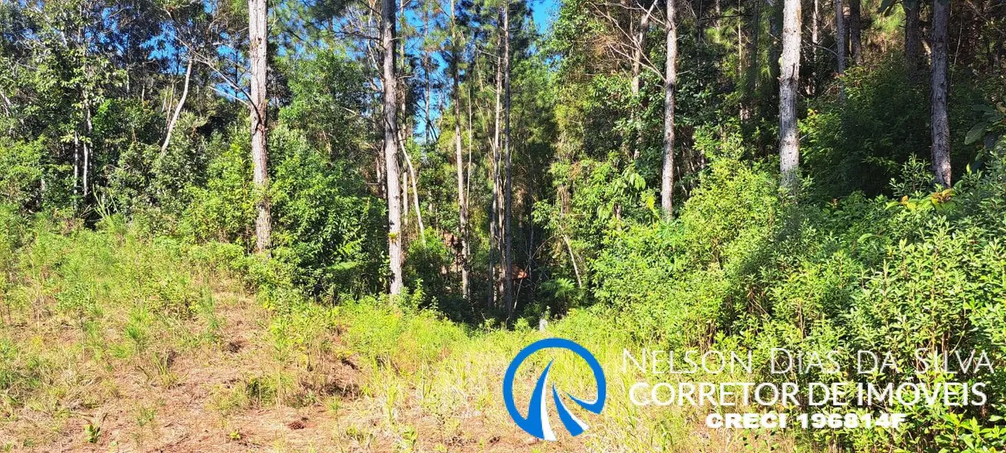 Foto 3 de Sítio / Rancho à venda, 270000m2 em Pedro De Toledo - SP