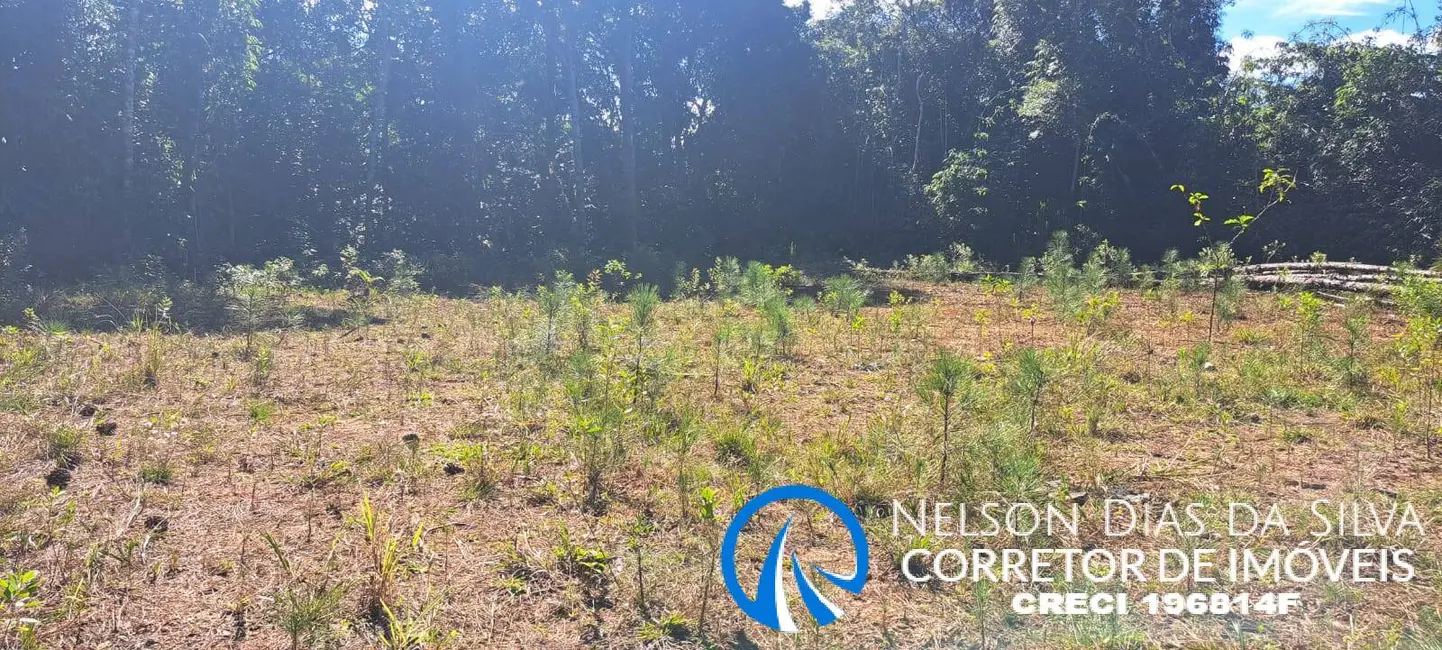 Foto 6 de Sítio / Rancho à venda, 270000m2 em Pedro De Toledo - SP