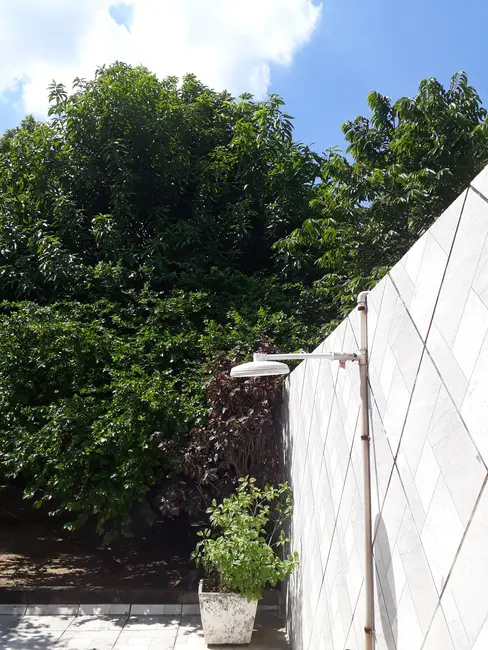 Casa com 1 quarto à venda, 100m2 em Marapicu, Nova Iguacu - RJ - imagem 6 Foto 6 de Casa com 1 quarto à venda, 100m2 em Marapicu, Nova Iguacu - RJ