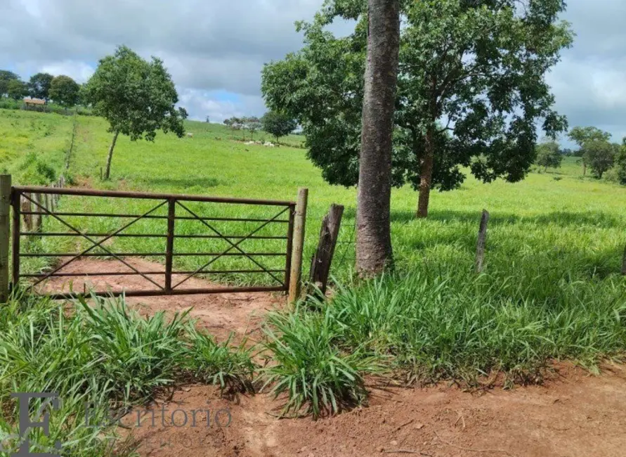 Foto 1 de Fazenda / Haras com 1 quarto à venda, 325m2 em Sao Joao Da Ponte - MG