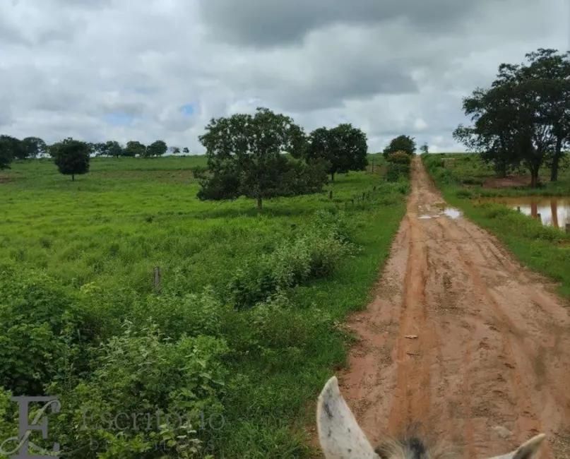 Foto 3 de Fazenda / Haras com 1 quarto à venda, 325m2 em Sao Joao Da Ponte - MG