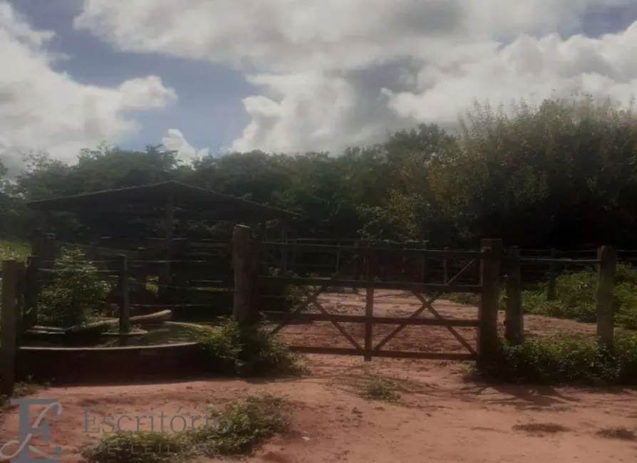 Foto 5 de Fazenda / Haras com 1 quarto à venda, 325m2 em Sao Joao Da Ponte - MG