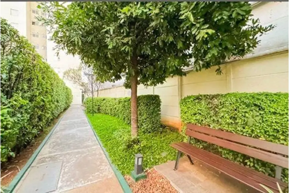 Foto 5 de Apartamento com 3 quartos à venda, 64m2 em Cambuci, São Paulo - SP