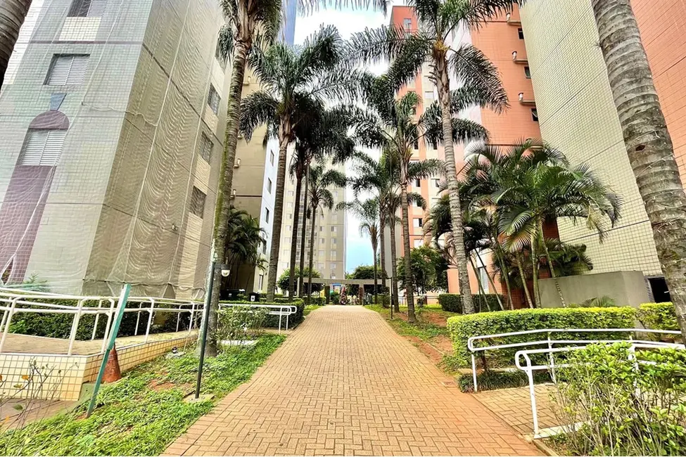 Foto 3 de Apartamento com 3 quartos à venda, 63m2 em Cambuci, São Paulo - SP