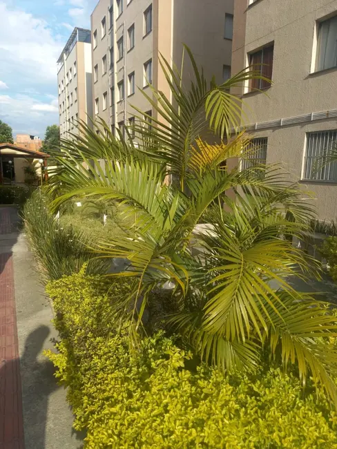 Cobertura com 2 quartos à venda, 98m2 em Jardim São Nicolau, São Paulo - SP - imagem 4 Foto 4 de Cobertura com 2 quartos à venda, 98m2 em Jardim São Nicolau, São Paulo - SP