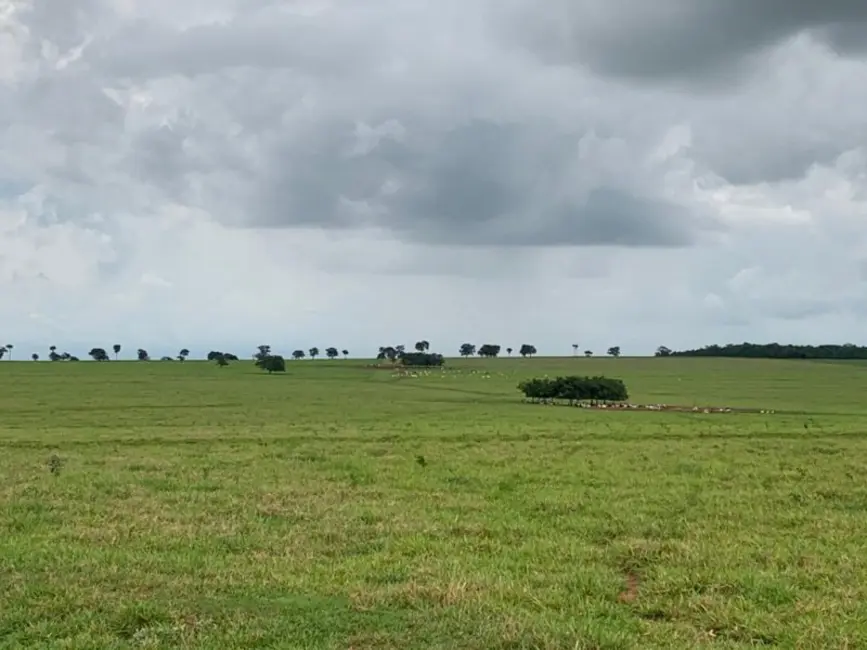 Foto 1 de Fazenda / Haras à venda, 1007m2 em Centro, Ourinhos - SP