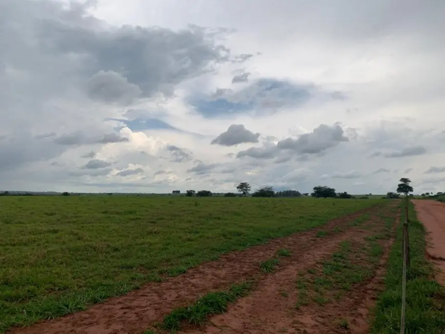 Foto 8 de Fazenda / Haras à venda, 1007m2 em Centro, Ourinhos - SP