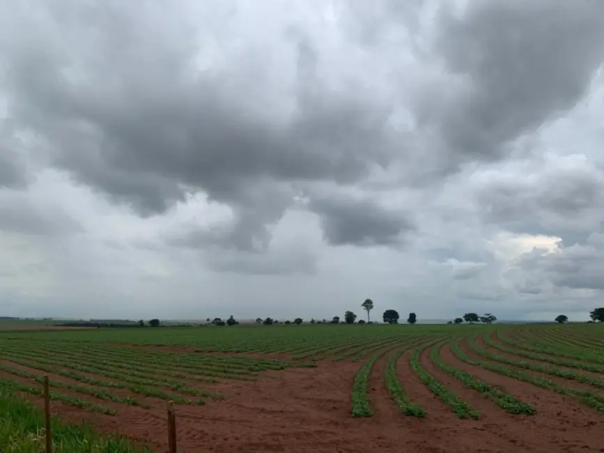 Foto 7 de Fazenda / Haras à venda, 1007m2 em Centro, Ourinhos - SP