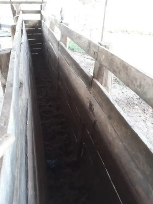 Foto 2 de Fazenda / Haras à venda, 310000m2 em Taguatinga - TO