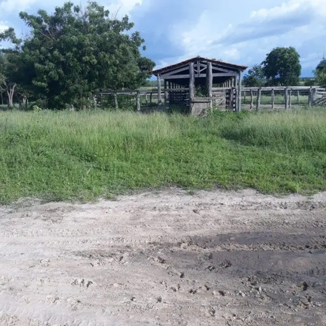 Foto 7 de Fazenda / Haras à venda, 310000m2 em Taguatinga - TO