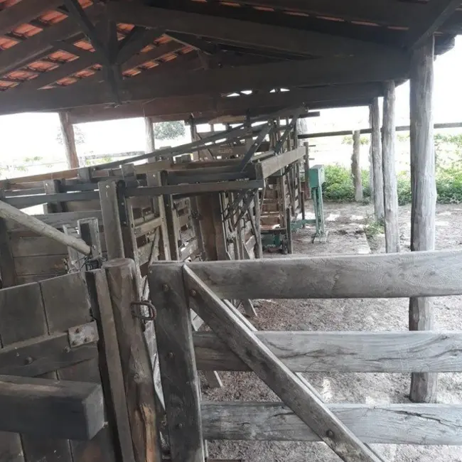 Foto 4 de Fazenda / Haras à venda, 310000m2 em Taguatinga - TO