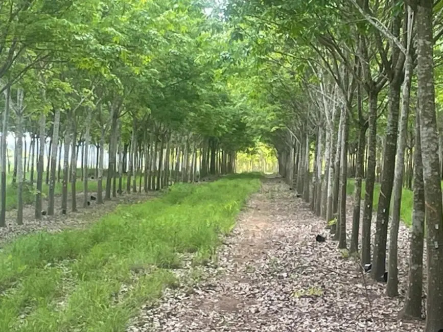 Foto 5 de Fazenda / Haras à venda, 17125m2 em Tocantins - MG